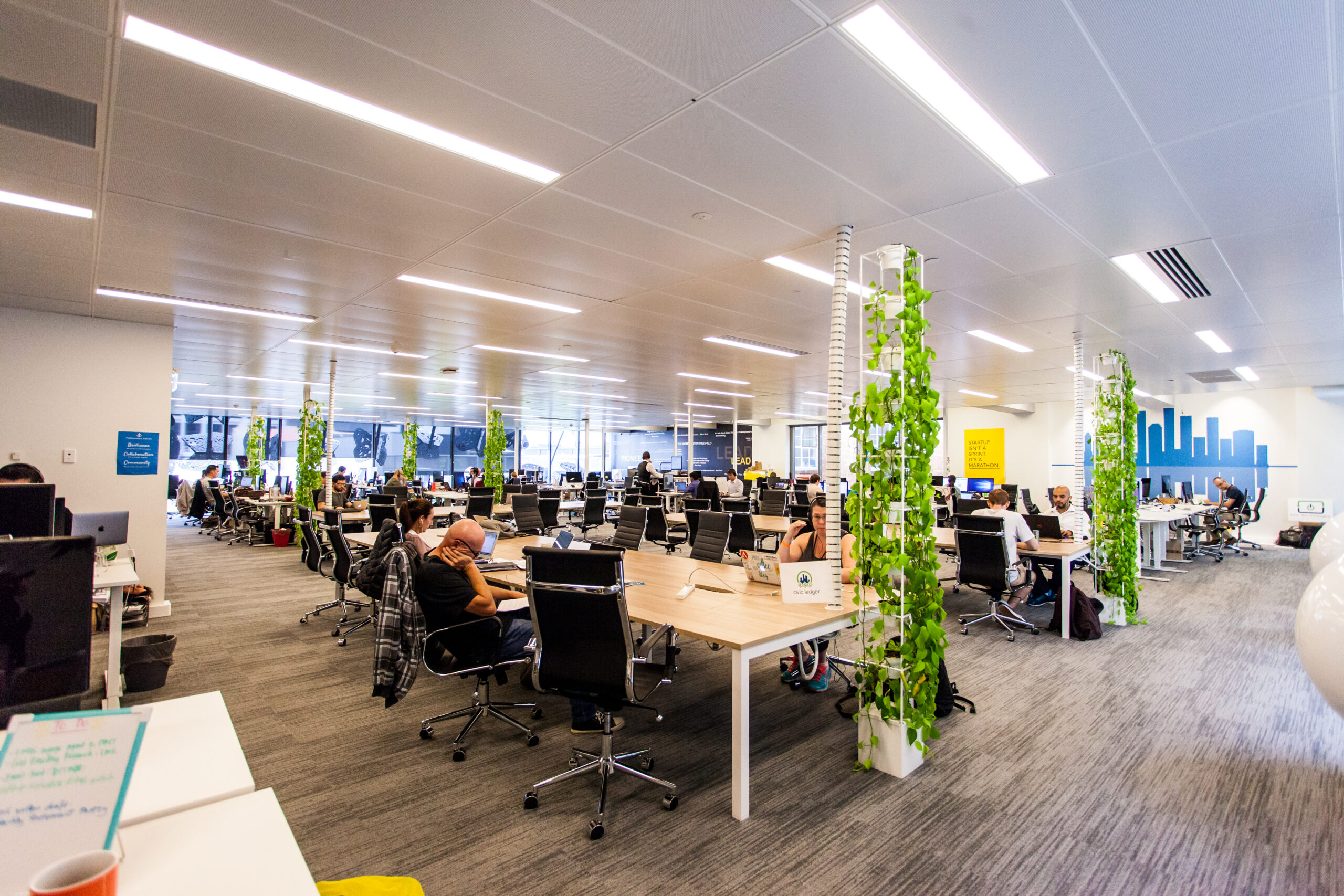 Brisbane - Carrossel 5